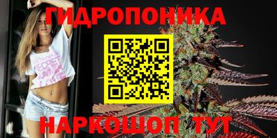 стаф Можайск