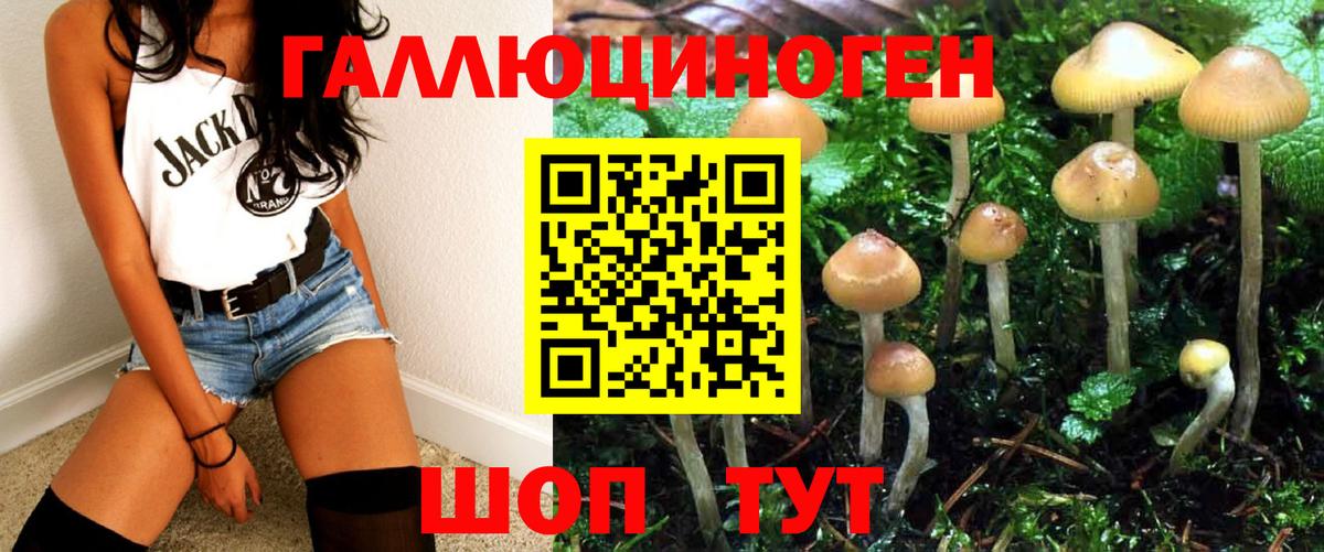 Галлюциногенные грибы прущие грибы  Галлюциногенные грибы MAGIC MUSHROOMS  Тольятти  Вход с VPN 